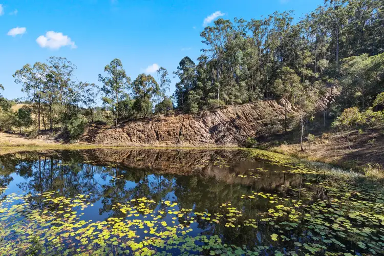 Seventh view of Homely rural property listing, 0 Meads Road, Tandur QLD 4570