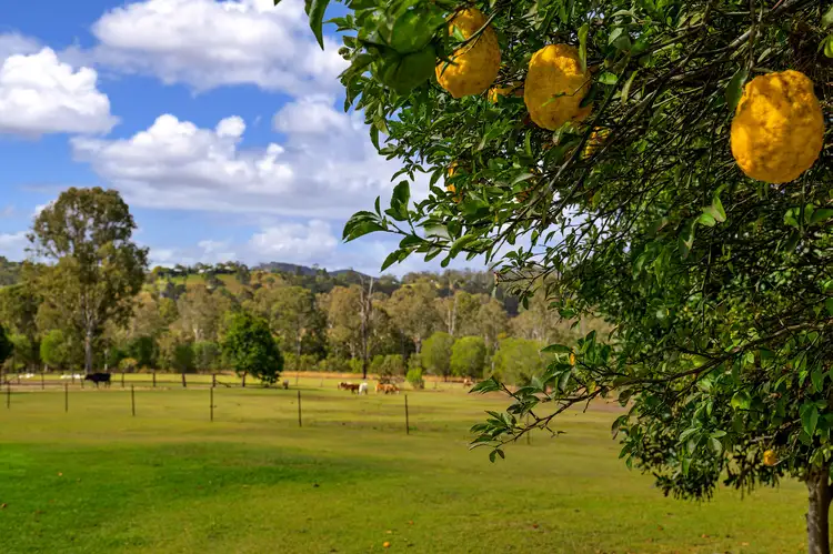 230 Jimbour Road, The Palms QLD 4570