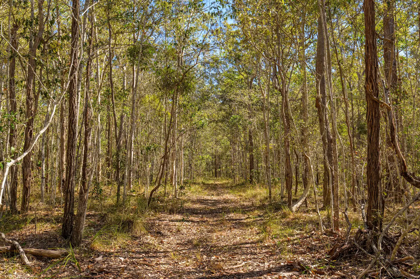 Main view of Homely rural property listing, 71 Cassia Road, Talegalla Weir QLD 4650