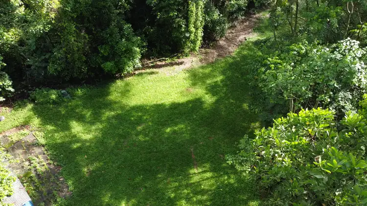 Main view of Homely land listing, 4 Dagmar Close, Lower Daintree QLD 4873