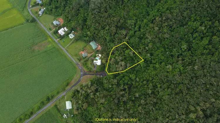 Sixth view of Homely land listing, 4 Dagmar Close, Lower Daintree QLD 4873