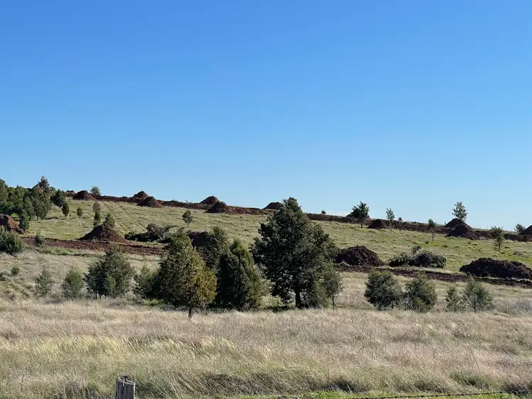 Seventh view of Homely rural property listing, Lot 539 Jones Street, Parkes NSW 2870