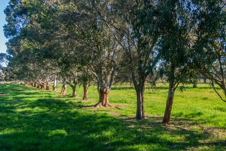 Sixth view of Homely land listing, 101/331 Kargotich Road, Oakford WA 6121