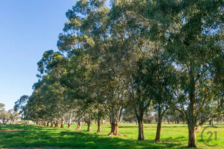 Seventh view of Homely land listing, 101/331 Kargotich Road, Oakford WA 6121
