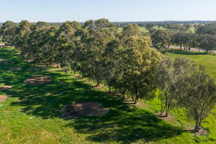 Fifth view of Homely land listing, 115/331 Kargotich Road, Oakford WA 6121