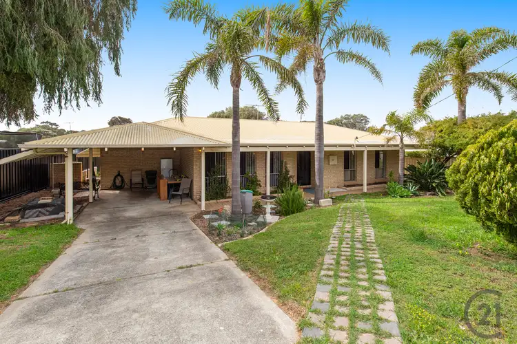Main view of Homely house listing, 50 Linville Street, Falcon WA 6210