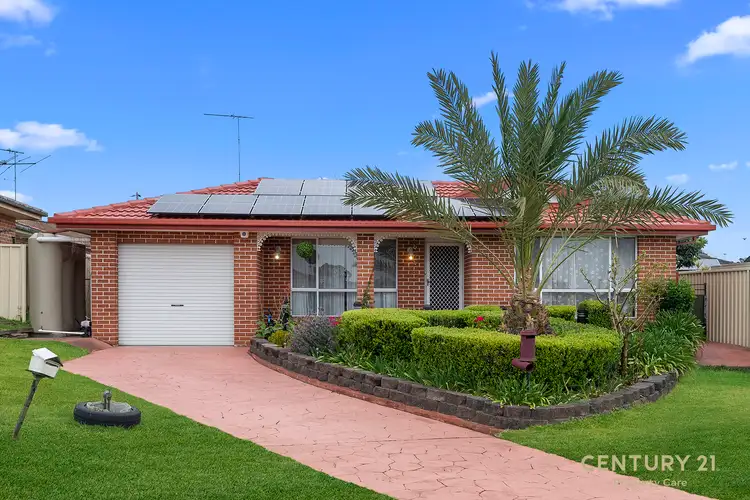 Main view of Homely house listing, 10 Stockalls Place, Minto NSW 2566