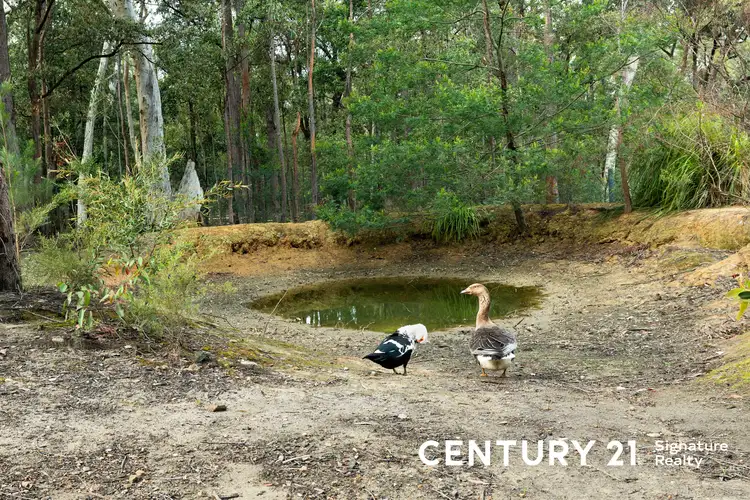 Sixth view of Homely rural property listing, 8 Hayward Road, Wandandian NSW 2540
