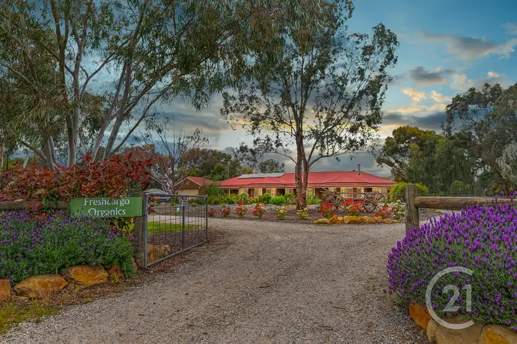 48 Murray Drive, Echuca VIC 3564