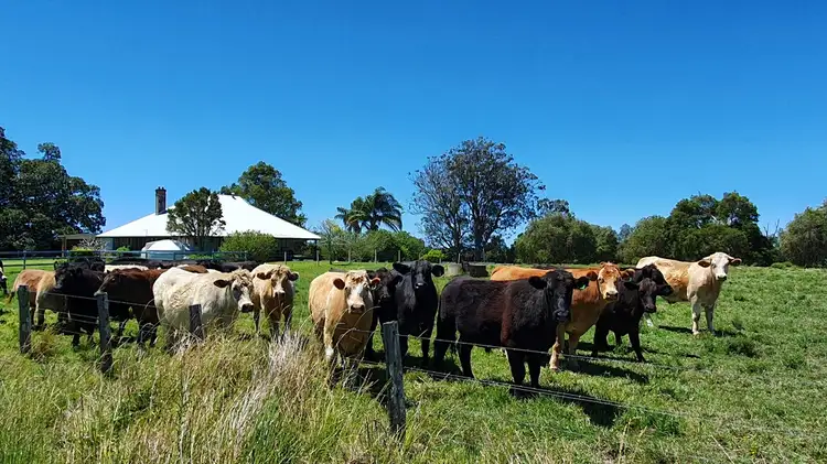 236 Oakland Road, East Coraki NSW 2471