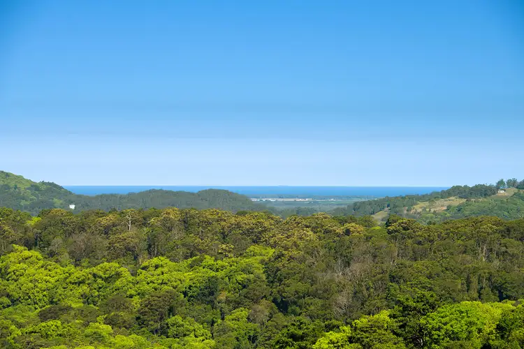 Main view of Homely rural property listing, 251 Cooks Lane, Dalwood NSW 2477