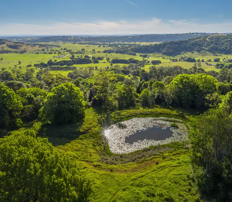 Third view of Homely rural property listing, 251 Cooks Lane, Dalwood NSW 2477
