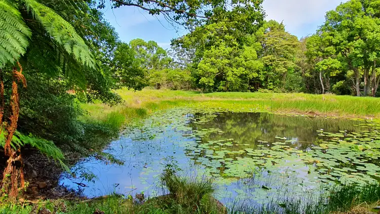 Fourth view of Homely rural property listing, 251 Cooks Lane, Dalwood NSW 2477