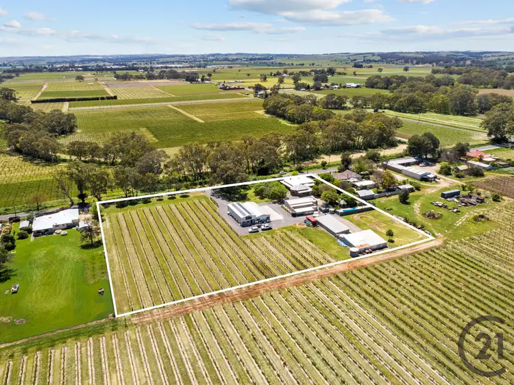 Third view of Homely house listing, 238 Kalimna Road, Light Pass SA 5355