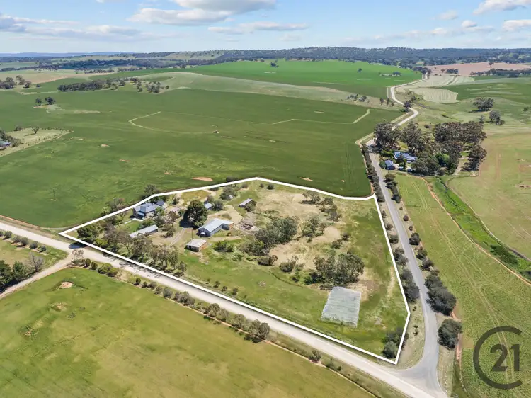 Second view of Homely house listing, 1149 Ngapala Road, Ngapala SA 5374