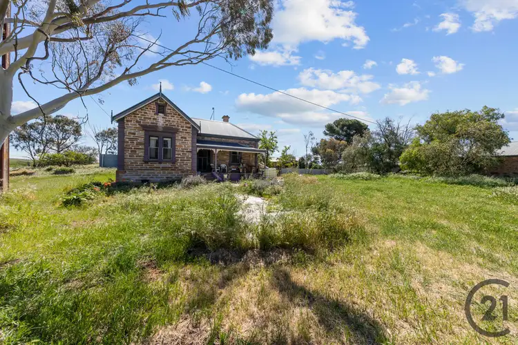 Third view of Homely house listing, 1149 Ngapala Road, Ngapala SA 5374
