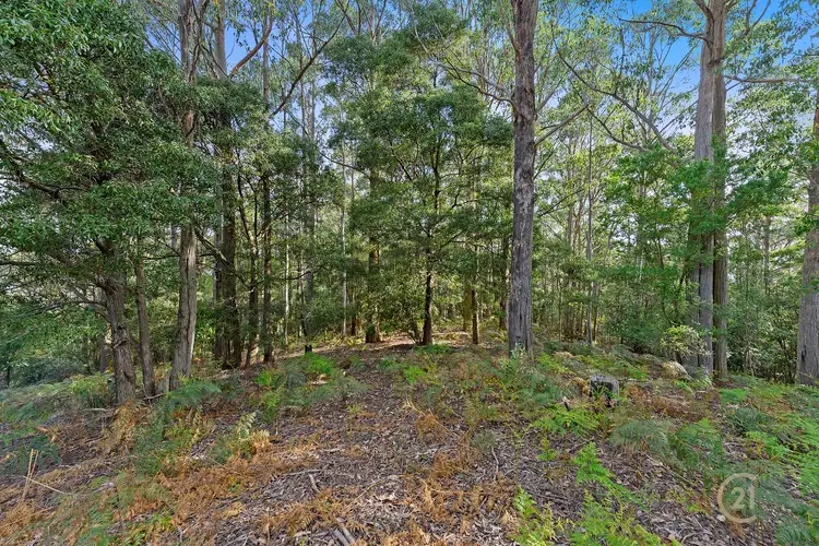 Fourth view of Homely land listing, 8 Ellice Hill Drive, Spreyton TAS 7310