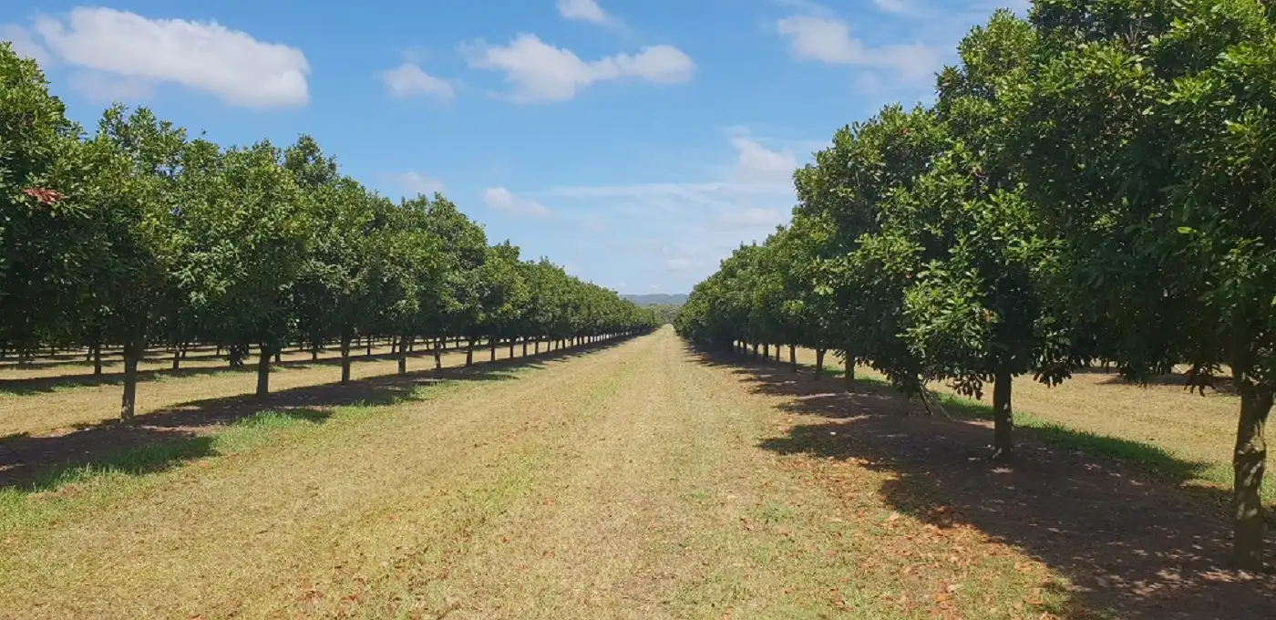 Main view of Homely rural property listing, Address available on request