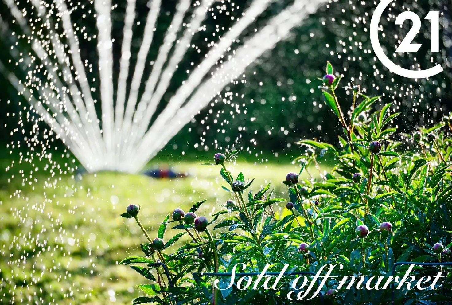 Main view of Homely house listing, 1-3 Celtic Avenue, Clovelly Park SA 5042