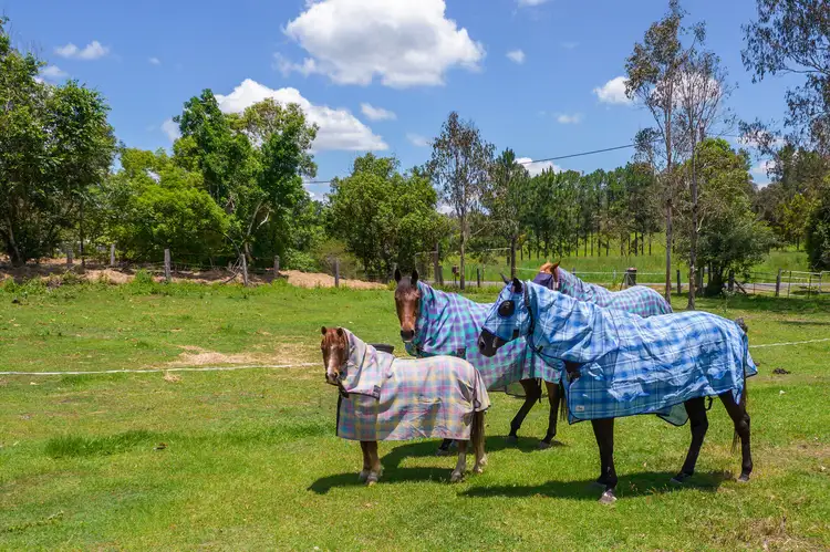 271 East Deep Creek Road, East Deep Creek QLD 4570