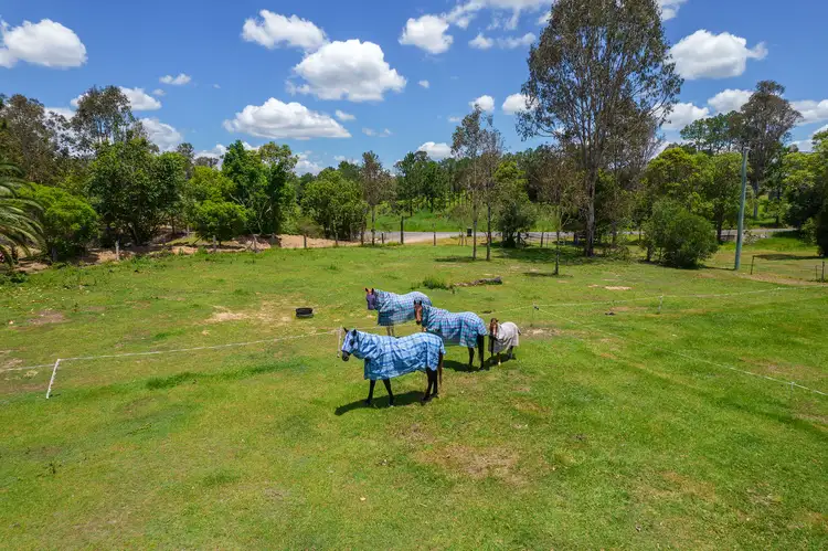 Seventh view of Homely rural property listing, 271 East Deep Creek Road, East Deep Creek QLD 4570