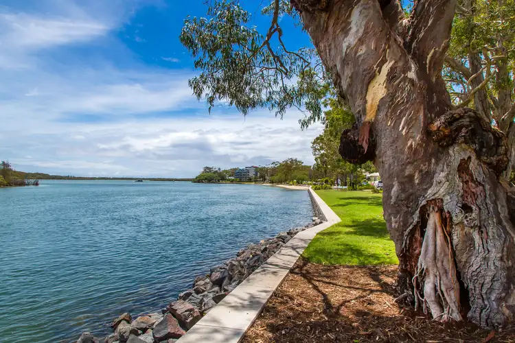 Fourth view of Homely unit listing, 4/41 Bradman Avenue, Maroochydore QLD 4558