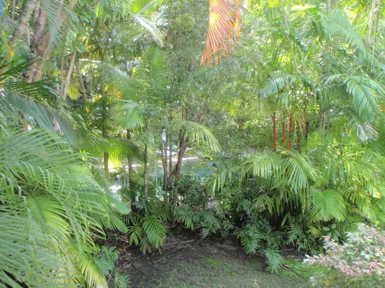 Sixth view of Homely townhouse listing, 1/13 Tropic Court, Port Douglas QLD 4877