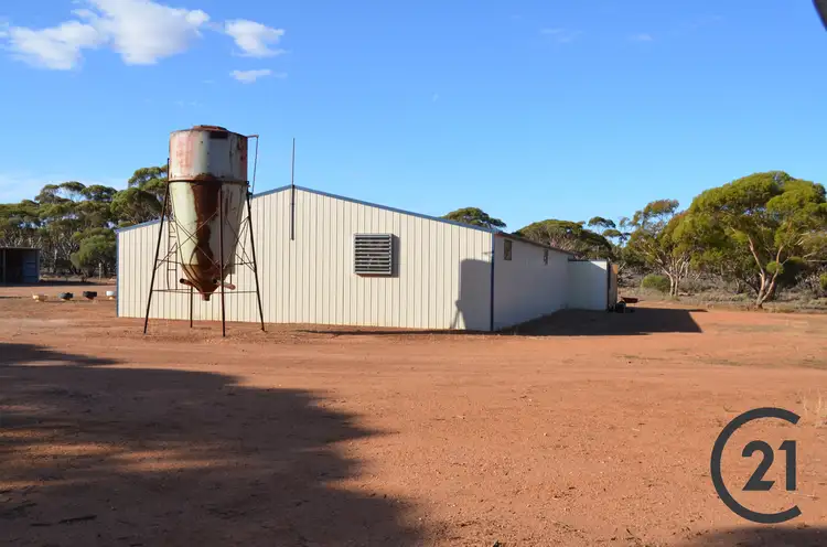 Second view of Homely rural property listing, 2428 Pipeline Road, Bundey SA 5320