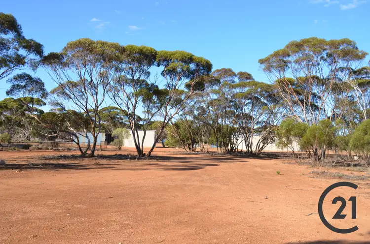 Third view of Homely rural property listing, 2428 Pipeline Road, Bundey SA 5320