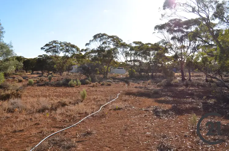 Fourth view of Homely rural property listing, 2428 Pipeline Road, Bundey SA 5320