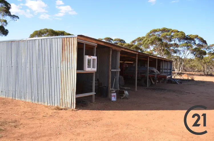 Fifth view of Homely rural property listing, 2428 Pipeline Road, Bundey SA 5320