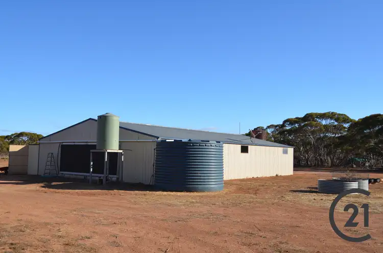 Sixth view of Homely rural property listing, 2428 Pipeline Road, Bundey SA 5320