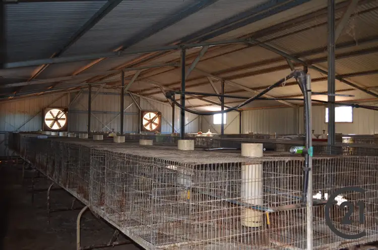 Seventh view of Homely rural property listing, 2428 Pipeline Road, Bundey SA 5320