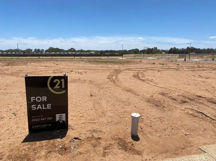 13 Carter Street, Buckland Park SA 5120