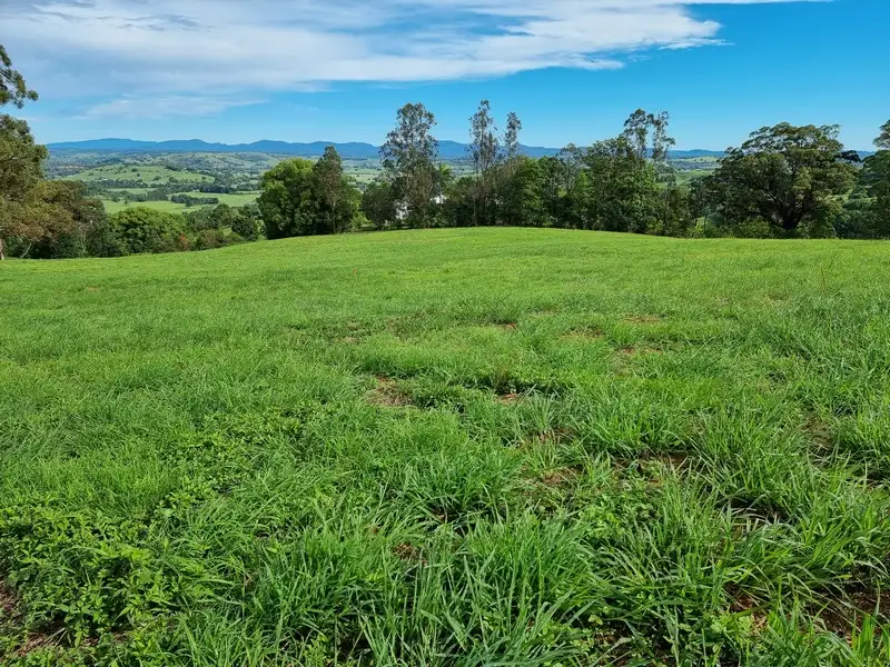 Main view of Homely land listing, 22 Lincoln Avenue, Mcleans Ridges NSW 2480