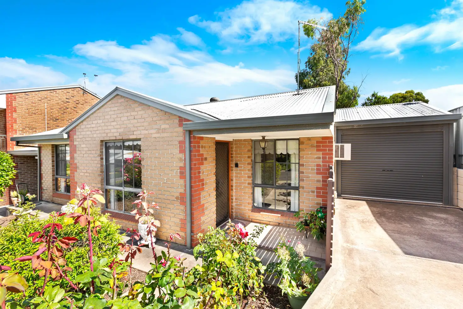 Main view of Homely unit listing, 1/15-19 Tretter Street, Morphett Vale SA 5162