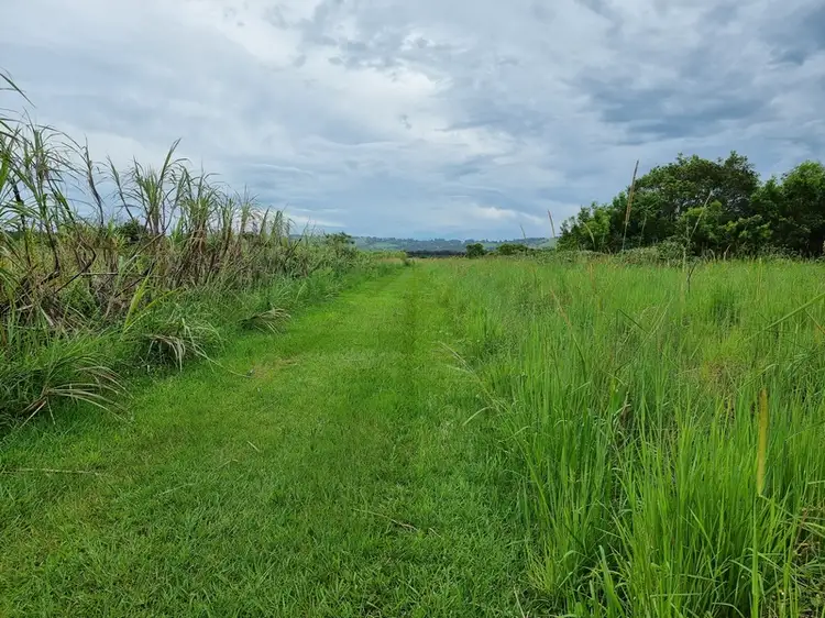 Seventh view of Homely rural property listing, Address available on request