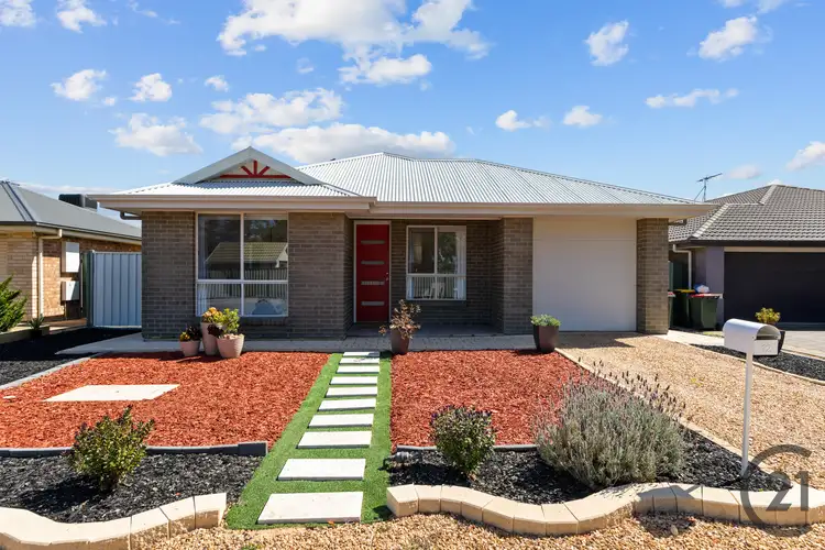 12 Hearl Street, Nuriootpa SA 5355