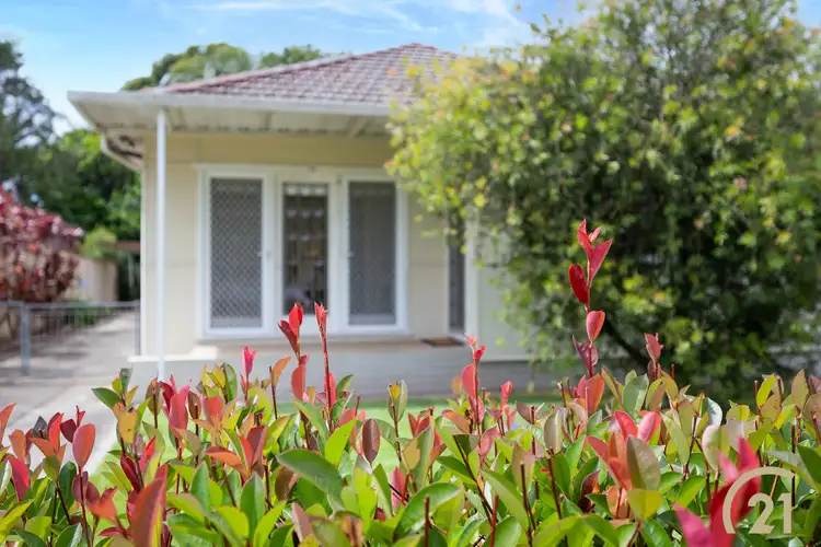 Second view of Homely house listing, 13 Bell Crescent, Fairfield NSW 2165