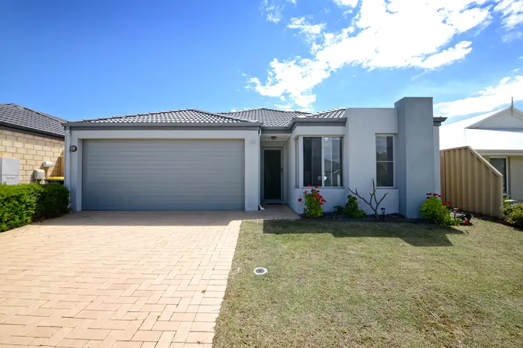 Main view of Homely house listing, 31 Benfleet Drive, Butler WA 6036