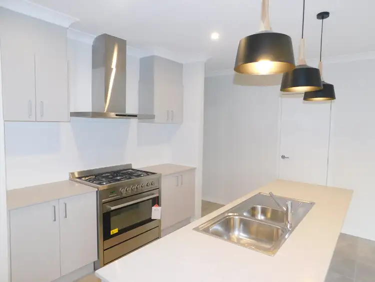 Second view of Homely house listing, 17 Comanche Street, Newport QLD 4020