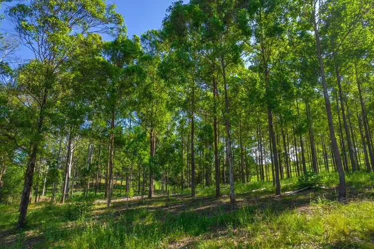Fourth view of Homely land listing, Lot 3 Kinen Lane, Canina QLD 4570
