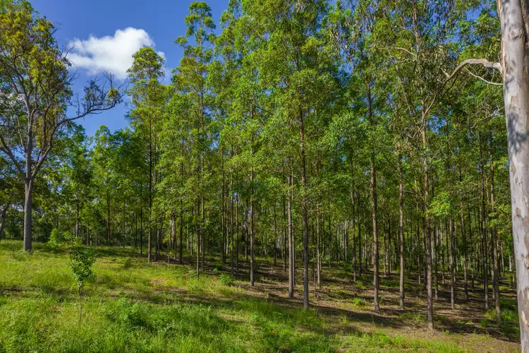 Fifth view of Homely land listing, Lot 3 Kinen Lane, Canina QLD 4570
