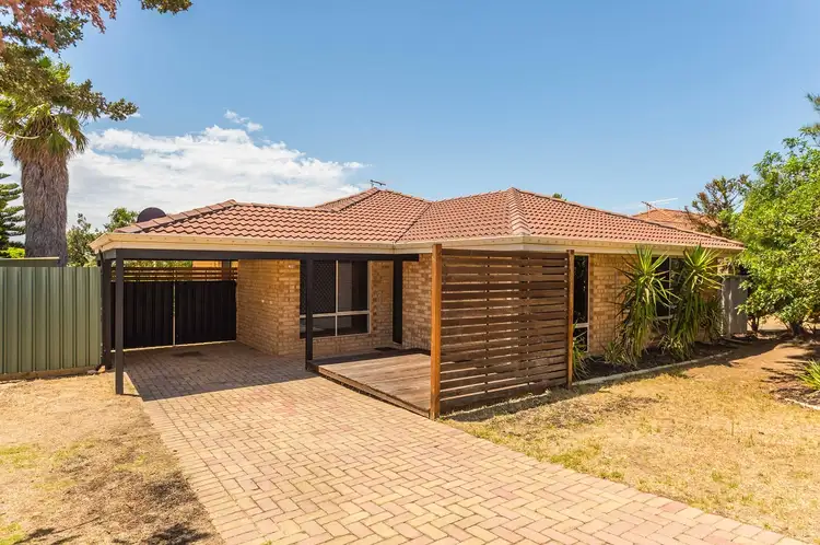 Main view of Homely house listing, 16 Malone Mews, Clarkson WA 6030