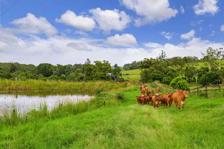 Sixth view of Homely rural property listing, 1689 Sandy Creek Road, Downsfield QLD 4570