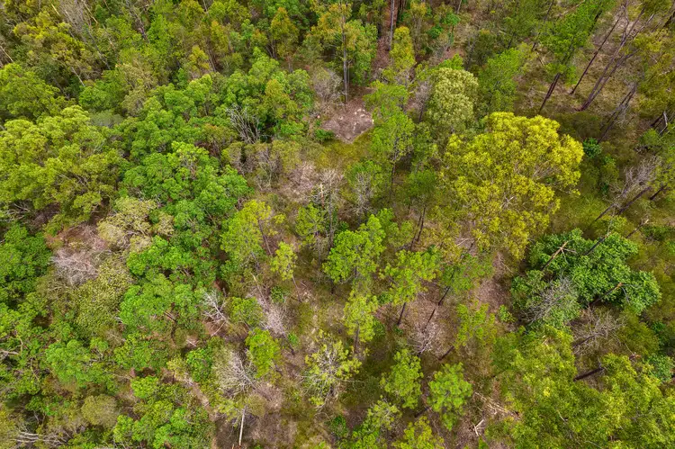 Fourth view of Homely land listing, Lot 619 Arbortwenty Two Road, Glenwood QLD 4570