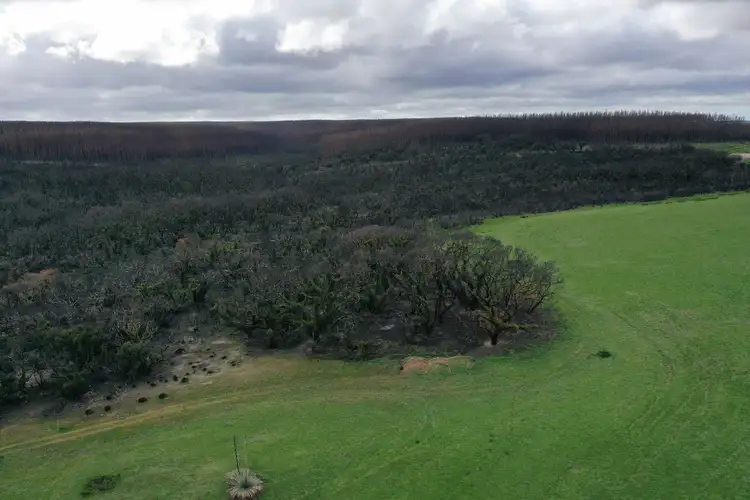 Third view of Homely rural property listing, Lot 5 Church Road, Karatta SA 5223
