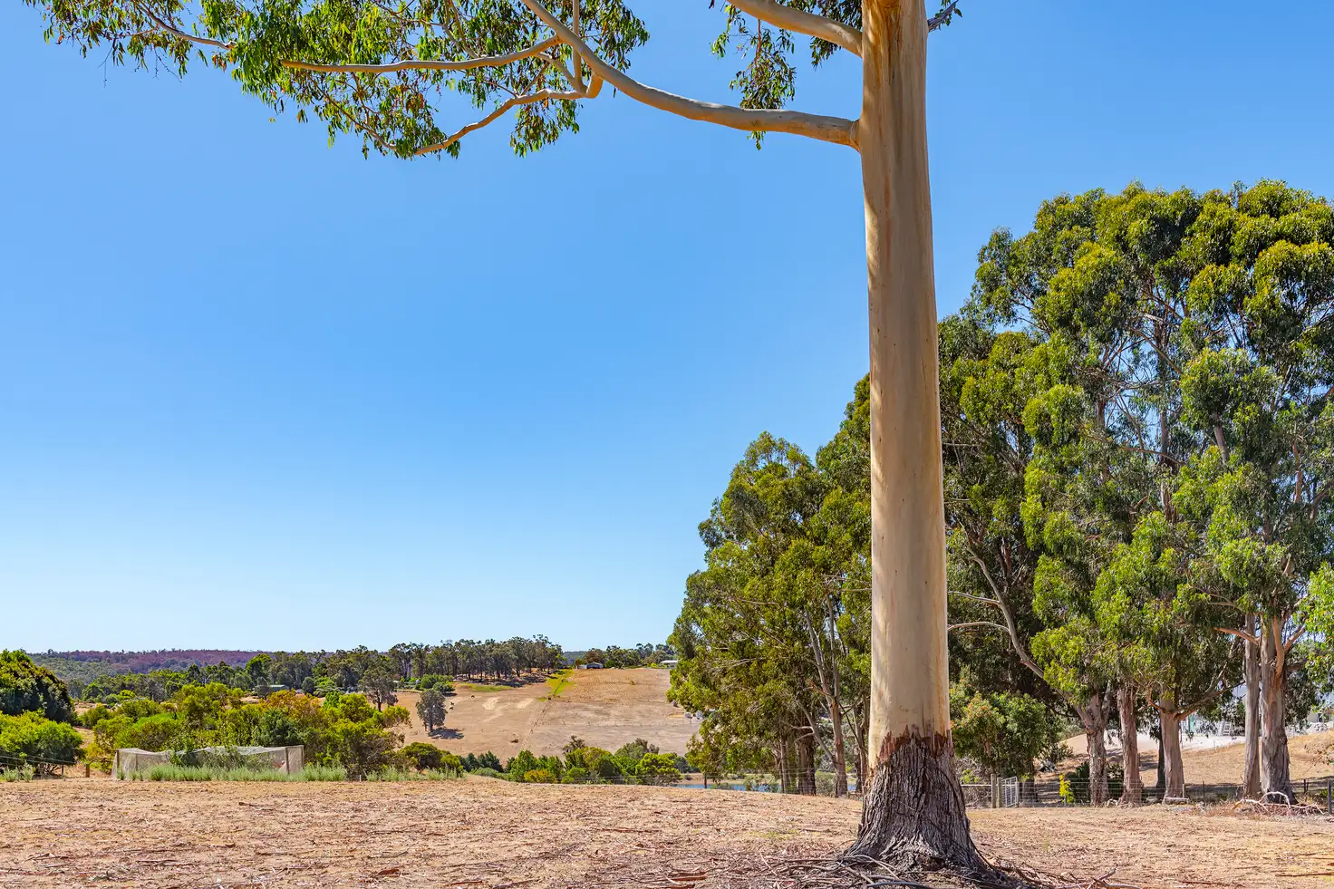 Main view of Homely rural property listing, 5 Robinia Way, Kangaroo Gully WA 6255
