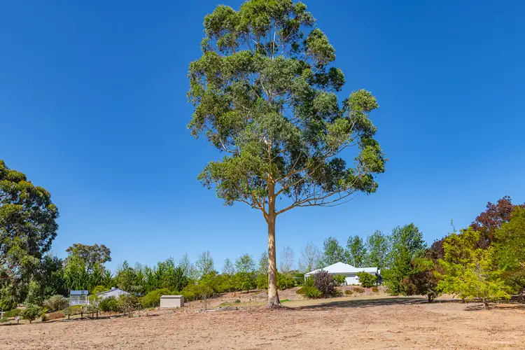 Fourth view of Homely rural property listing, 5 Robinia Way, Kangaroo Gully WA 6255