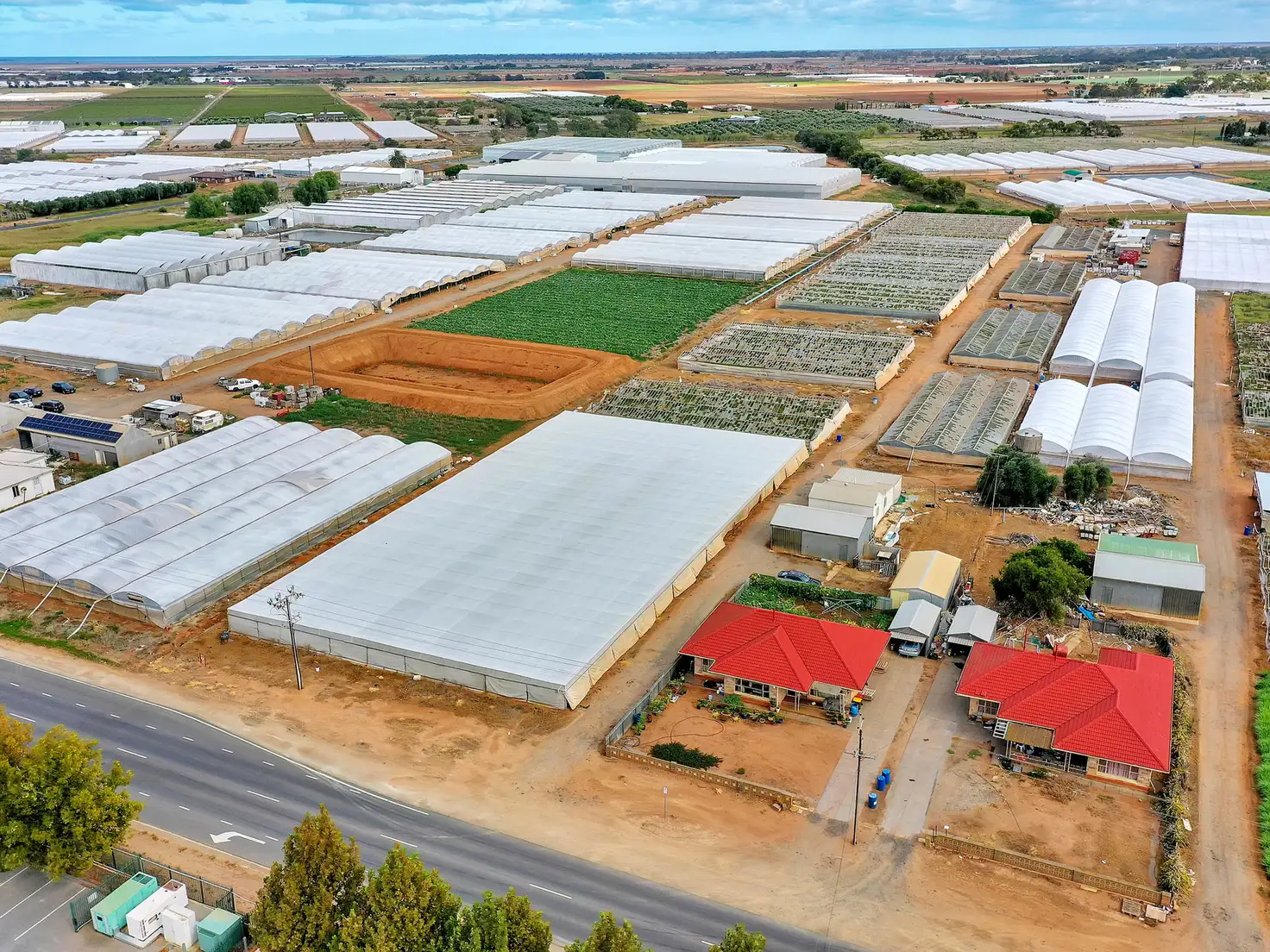 Main view of Homely house listing, 84 Gawler Road, Virginia SA 5120